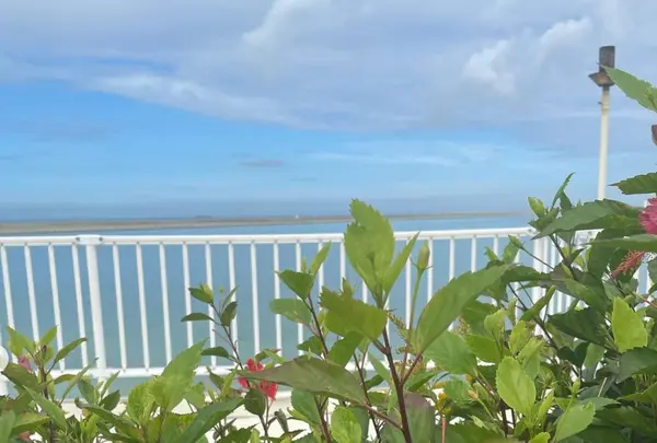 瀬長島ウミカジテラスの写真・動画_image_438518