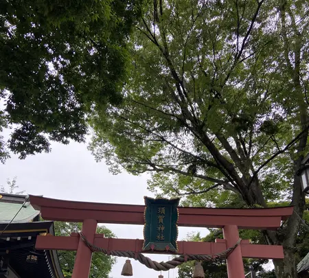 須賀神社の写真・動画_image_438809
