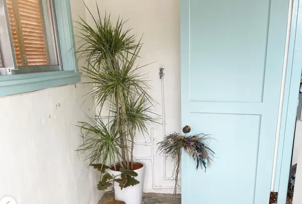 THE FLAVOR DESIGN®︎ STORE "OKINAWA"の写真・動画_image_439126