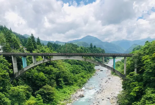 富山駅の写真・動画_image_439378