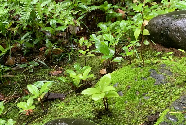 根津美術館の写真・動画_image_439393