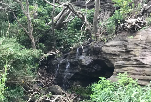 大房不動滝の写真・動画_image_439787