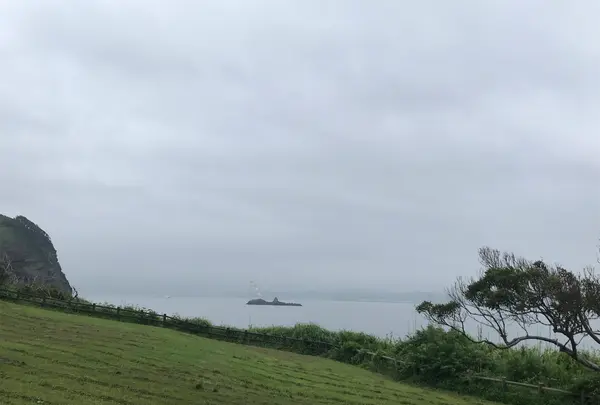 大房岬自然公園の写真・動画_image_439788