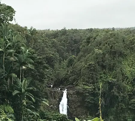 アカカ滝の写真・動画_image_439850