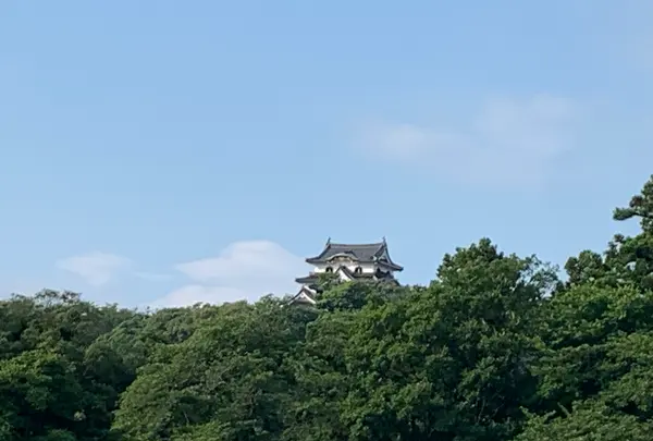 彦根城の写真・動画_image_440031