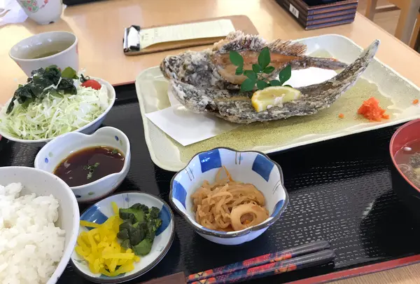 おさかな倶楽部の写真・動画_image_440050