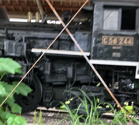 蒸気機関車 C58-244の写真・動画_image_440119