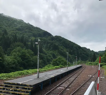 手打ち蕎麦 平石亭の写真・動画_image_440178