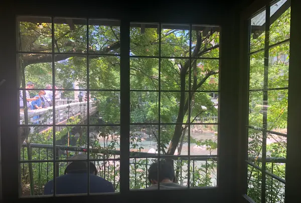 はつ花 本店の写真・動画_image_440779