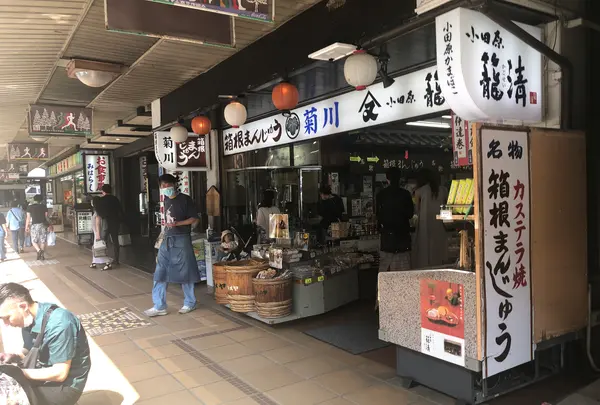箱根湯本駅前商店街の写真・動画_image_440797
