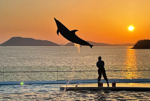 四国水族館の写真・動画_image_440834