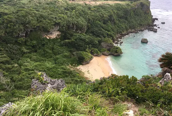 果報バンタの写真・動画_image_441391