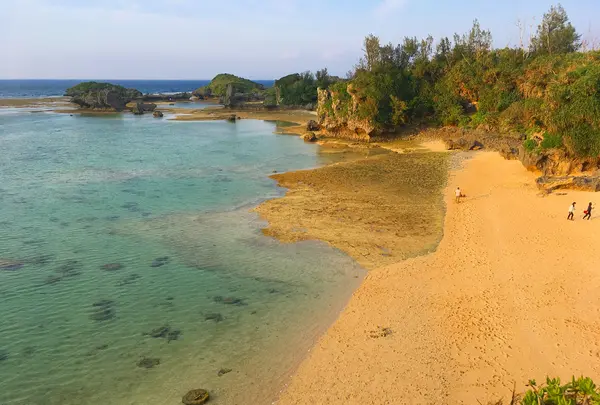 Beach51の写真・動画_image_441392