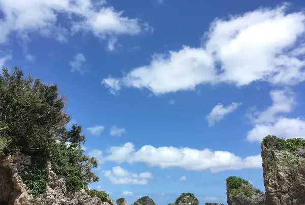新原（みーばる）ビーチの写真・動画_image_441397