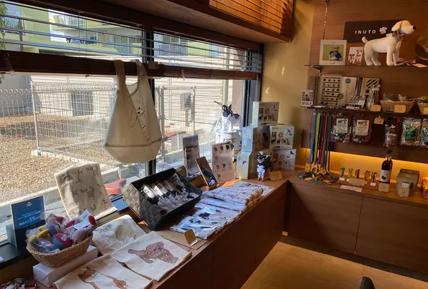 レジーナリゾートびわ湖長浜の写真・動画_image_442111