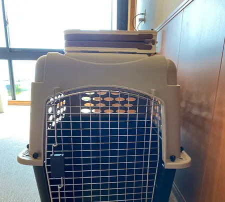 レジーナリゾートびわ湖長浜の写真・動画_image_442116