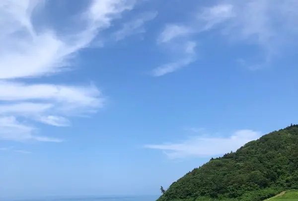 白米千枚田の写真・動画_image_442173