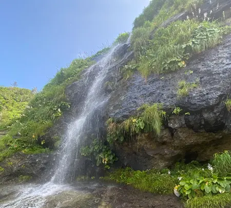 垂水の滝の写真・動画_image_442176