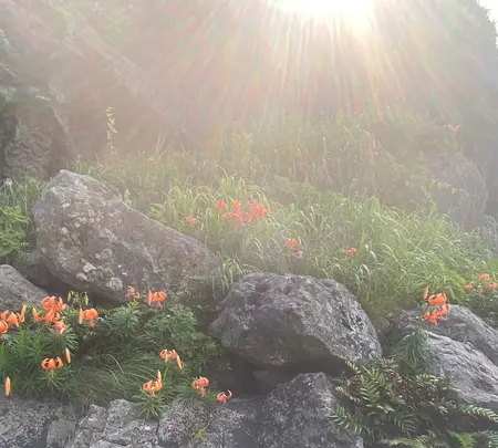 垂水の滝の写真・動画_image_442177