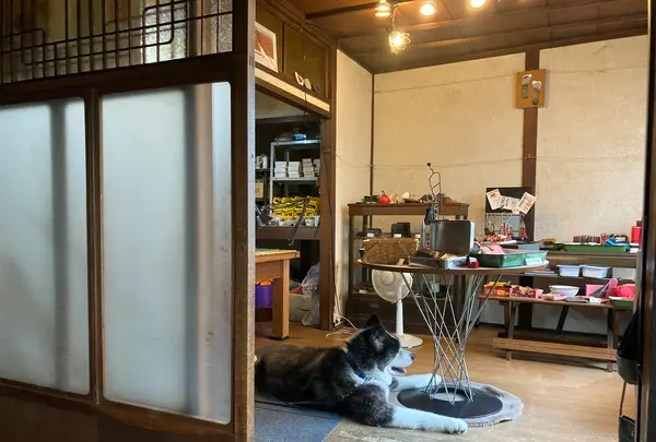 anotherfaceの写真・動画_image_442222