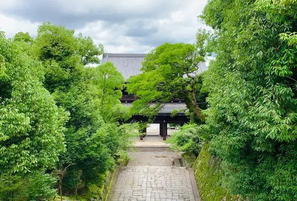 知恩院の写真・動画_image_442349