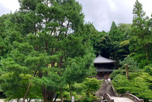 知恩院の写真・動画_image_442353