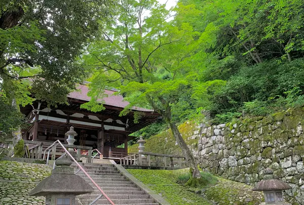 知恩院の写真・動画_image_442356