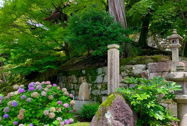 知恩院の写真・動画_image_442357