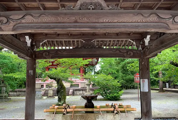 知恩院の写真・動画_image_442359