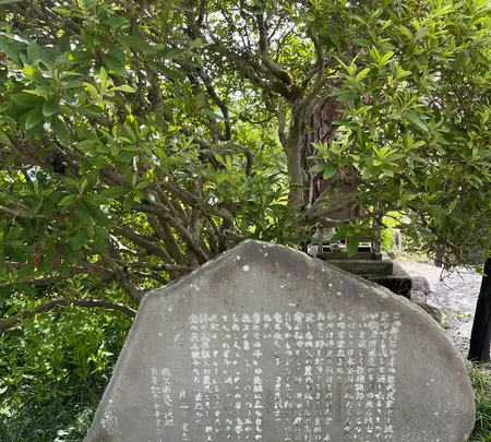 音楽寺の写真・動画_image_442475