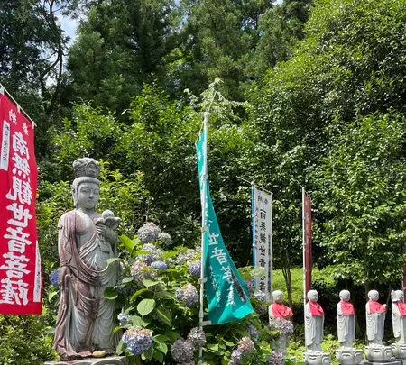 法泉寺の写真・動画_image_442496