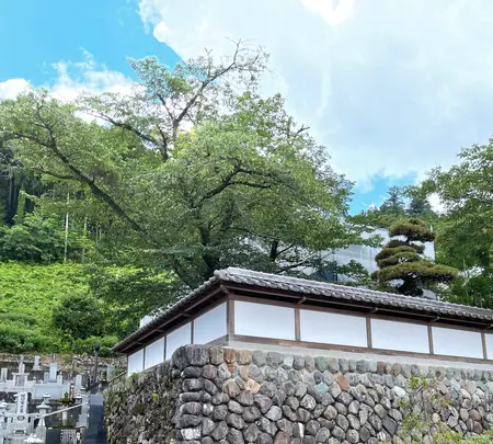 円融寺の写真・動画_image_442518