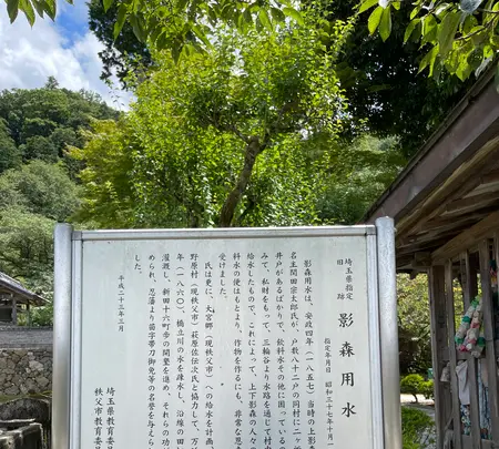大渕寺の写真・動画_image_442523