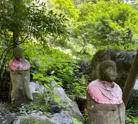 橋立堂の写真・動画_image_442544