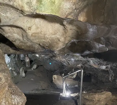 橋立堂の写真・動画_image_442547