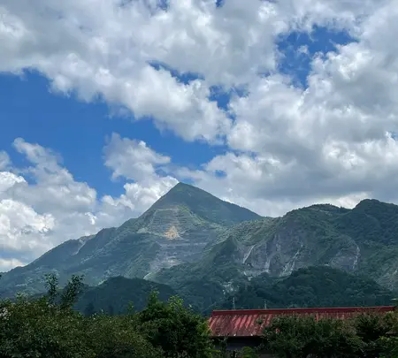 弁天茶屋の写真・動画_image_442552