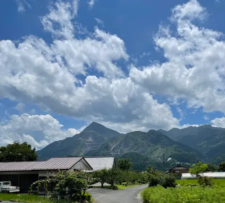 弁天茶屋の写真・動画_image_442554