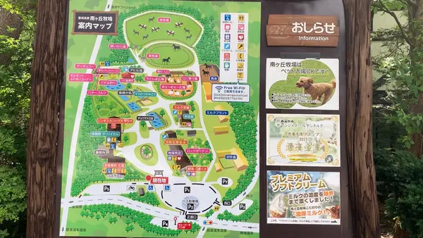 那須高原南ヶ丘牧場の写真・動画_image_444583