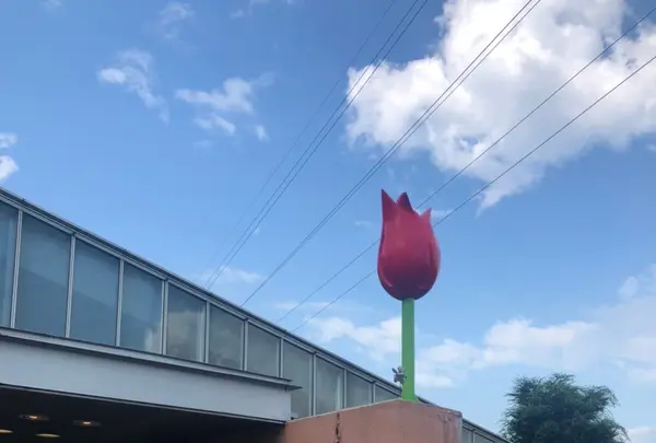 砺波チューリップ公園の写真・動画_image_445012