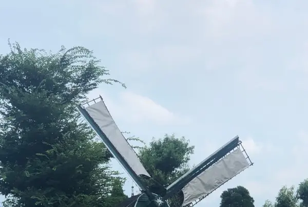 砺波チューリップ公園の写真・動画_image_445013