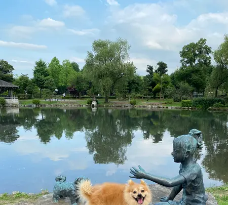 砺波チューリップ公園の写真・動画_image_445014