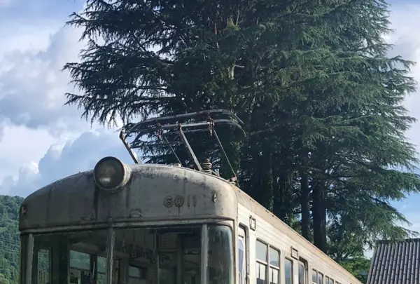 道の駅山中温泉ゆけむり健康村の写真・動画_image_445058