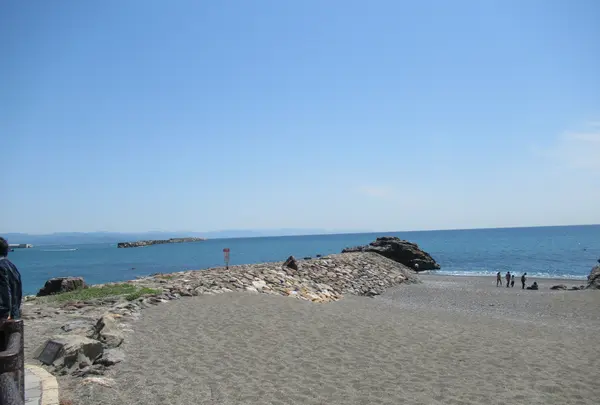 桂浜の写真・動画_image_445304