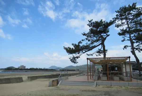 父母ヶ浜の写真・動画_image_445311