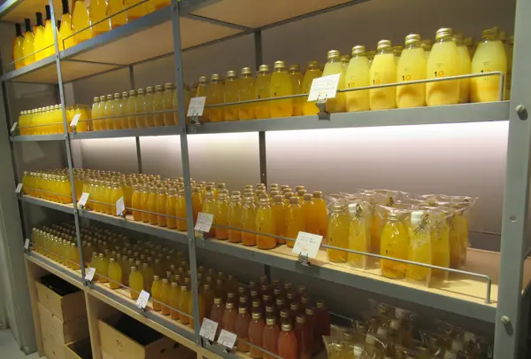 10 FACTORY 道後店の写真・動画_image_445315