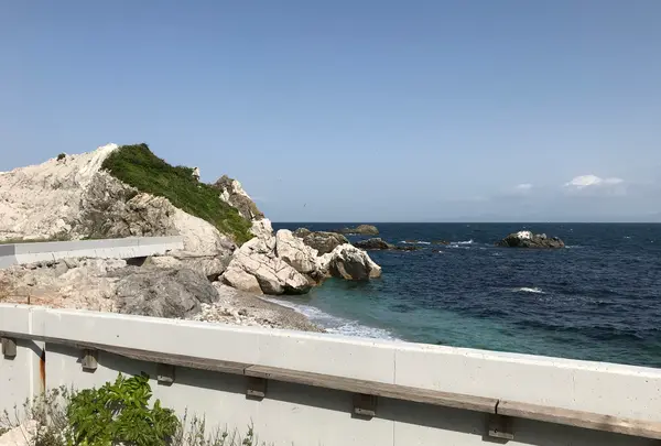 道の駅 白崎海洋公園の写真・動画_image_445824