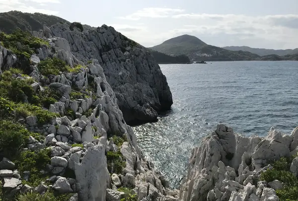 道の駅 白崎海洋公園の写真・動画_image_445825