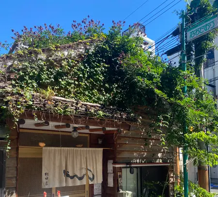 村田家の写真・動画_image_446367