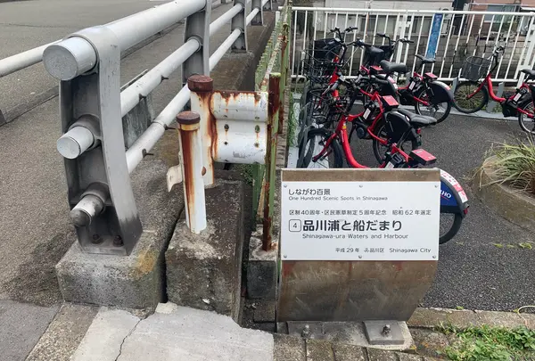 品川浦船溜まりの写真・動画_image_448229