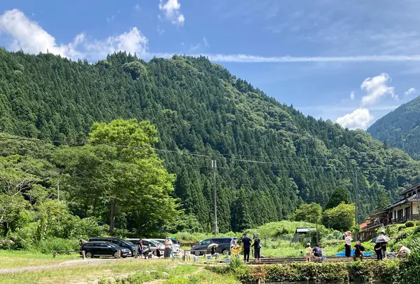 湯来つりぼりの写真・動画_image_448265